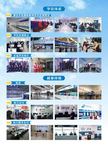 2017年武汉金楚航空职业学校湖北中南通航机场集团航空票务中心招生简章